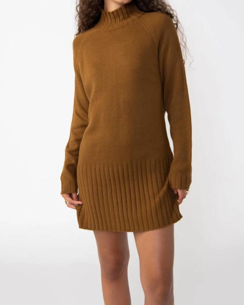 Front of a model wearing a size L The Sweater Mini Dress in Spice in Spice by Sanctuary. | dia_product_style_image_id:326438
